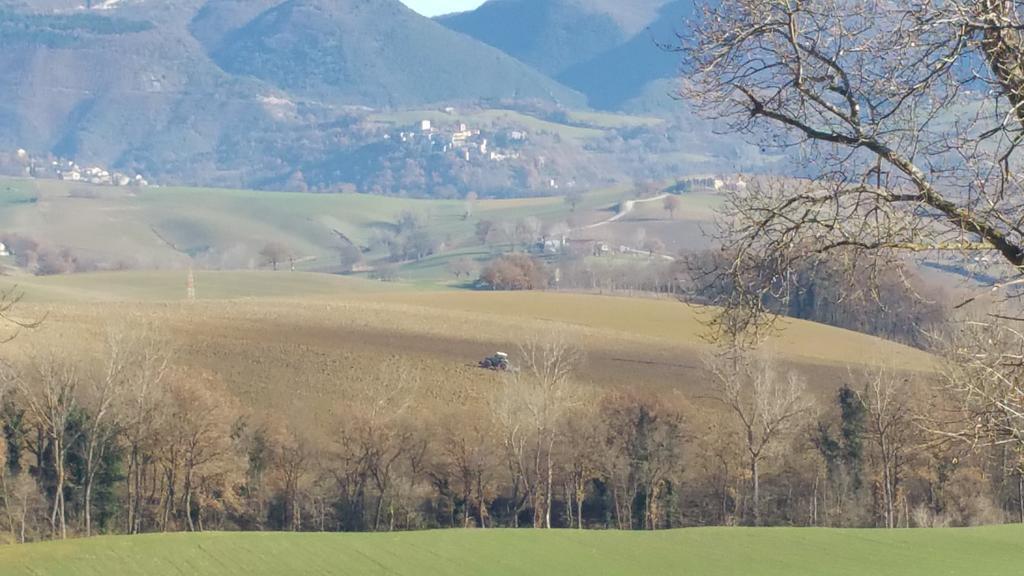 Pietra Maula Agriturismo Castelraimondo Exterior foto